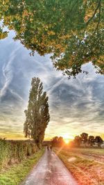 Road amidst trees against sky