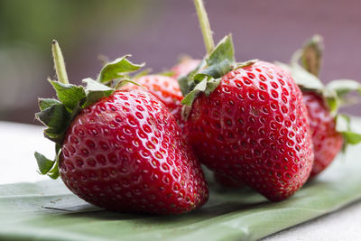 Close-up of strawberries