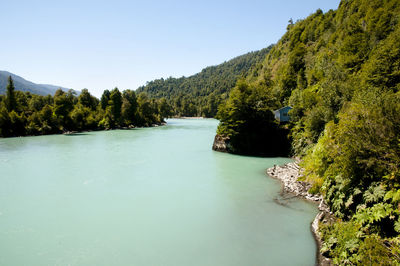 Scenic view of river in forest against clear sky