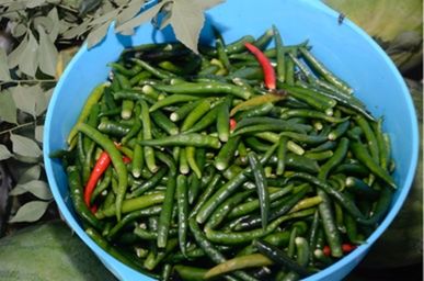 Close-up of vegetables in bowl