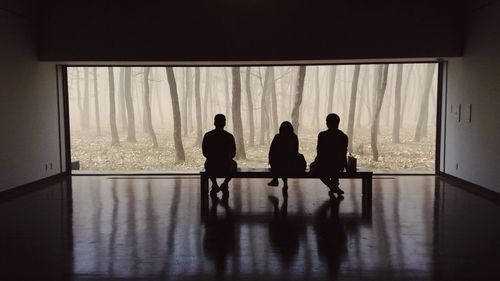 Silhouette people looking at forest view through entrance