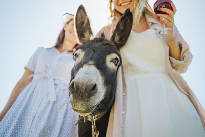 Happy friends with donkey holding wineglass on sunny day