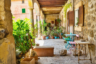 Potted plants on table against building