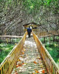 Rear view of man on footbridge over canal