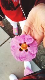 Close-up of hand holding flower