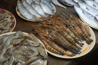 Variety of freshly caught sea fishes, on sale at a fish fry stall in puri beach, odisha.