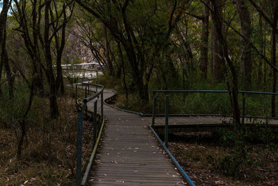 Empty footbridge amidst trees in forest