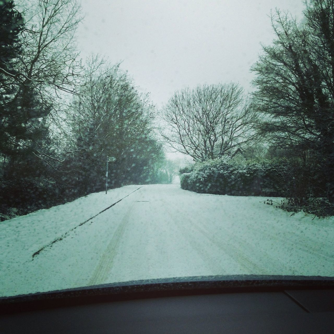 transportation, tree, snow, winter, road, the way forward, cold temperature, weather, windshield, mode of transport, car, glass - material, season, diminishing perspective, vehicle interior, transparent, sky, bare tree, nature, vanishing point