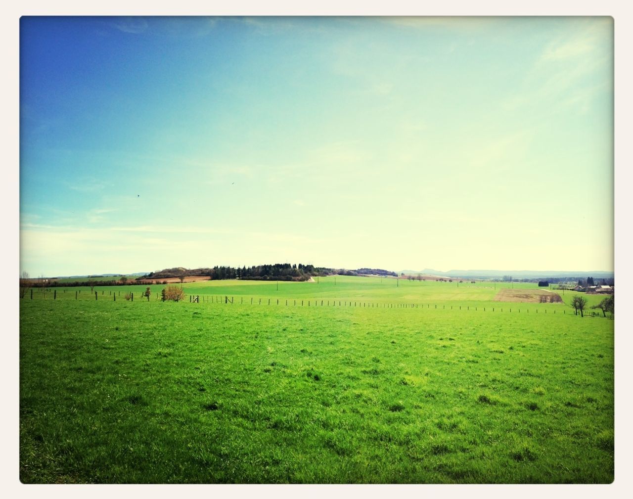 grass, field, landscape, transfer print, sky, grassy, tranquil scene, tranquility, auto post production filter, scenics, rural scene, nature, beauty in nature, green color, blue, cloud - sky, horizon over land, cloud, meadow, animal themes