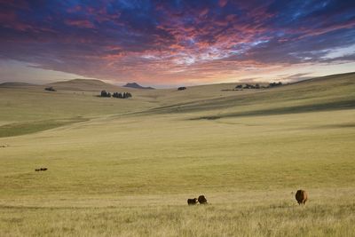 Scenic view of landscape against sky during sunset