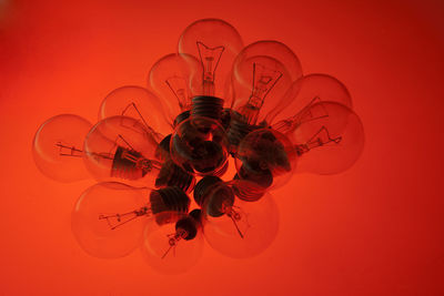 Close-up of an insect on glass against red background