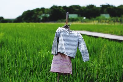 Rear view of woman with umbrella on field