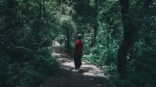 Rear view of person walking on street amidst trees in forest