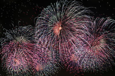 Low angle view of firework display at night