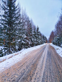 Road with snow amidst trees against sky