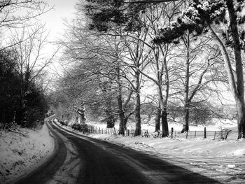 Road amidst trees during winter