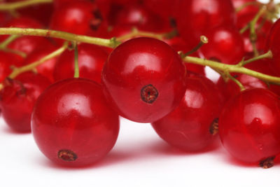 Fresh ripe currant