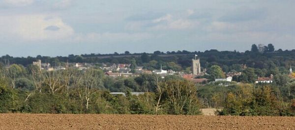 Scenic view of field against sky