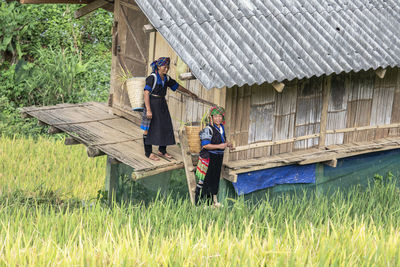 H'mong women during the rice harvest season