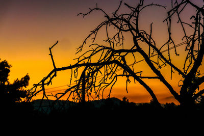 Silhouette trees on landscape against sky at sunset