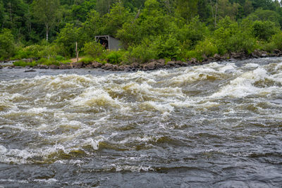 Scenic view of river flowing amidst trees