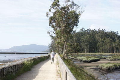 View of footpath with trees in background