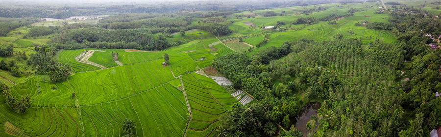 High angle view of green landscape