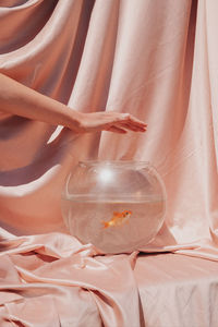 Close-up of human hand a goldfish in pastel tones