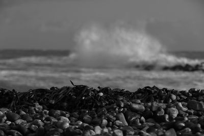 Rocks on beach against sky