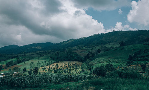 Scenic view of landscape against sky