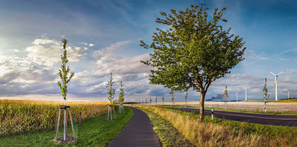 Empty road amidst trees growing by wheat field against sky