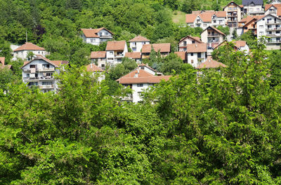 Houses in a city