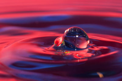 Close-up of red water drop