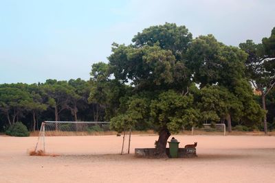 View of soccer field against trees