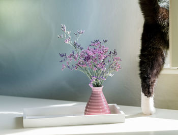 Close-up of pink flower vase on table