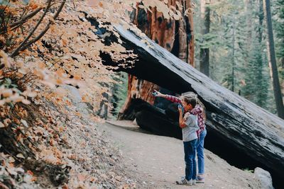 Siblings looking away while standing by log in forest