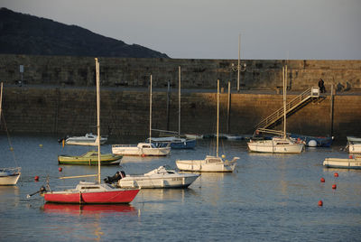 Sailboats moored in sea against clear sky