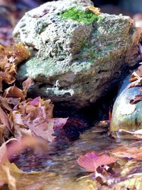 Close-up of water on rock