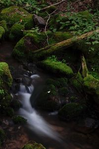 Scenic view of waterfall in forest against sky