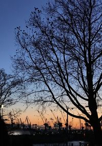Low angle view of silhouette trees against sky at sunset