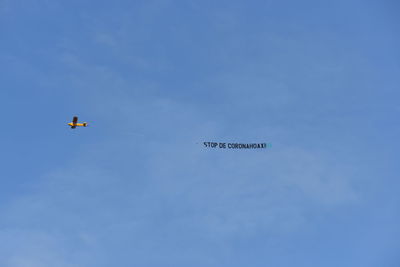 Low angle view of bird flying in sky