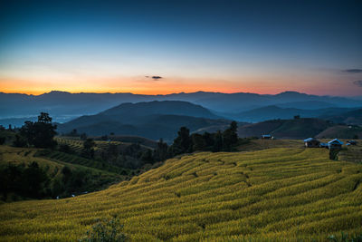 Scenic view of agricultural field against sky during sunset