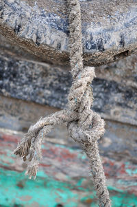 Close-up of dead tree trunk