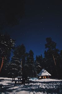 Snow covered trees against sky at night