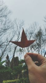 Close-up of hand holding tree against sky