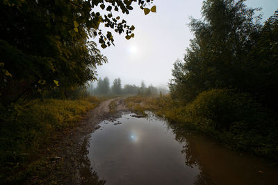 Reflection of trees in river against sky