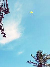 Low angle view of palm tree against sky