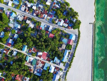 High angle view of trees and beach 