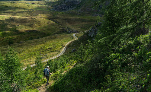 Rear view of woman walking on trail amidst trees