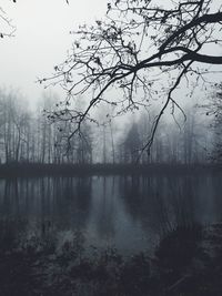 Bare trees by lake against sky